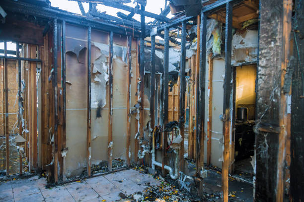 Professional Fire Damage Removal technician working in Hanover, PA